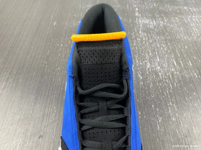 Laney Retro 487471-407 Jordan 14 0809